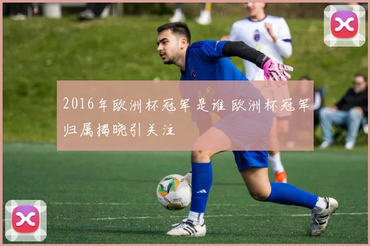 2016年欧洲杯冠军是谁 欧洲杯冠军归属揭晓引关注