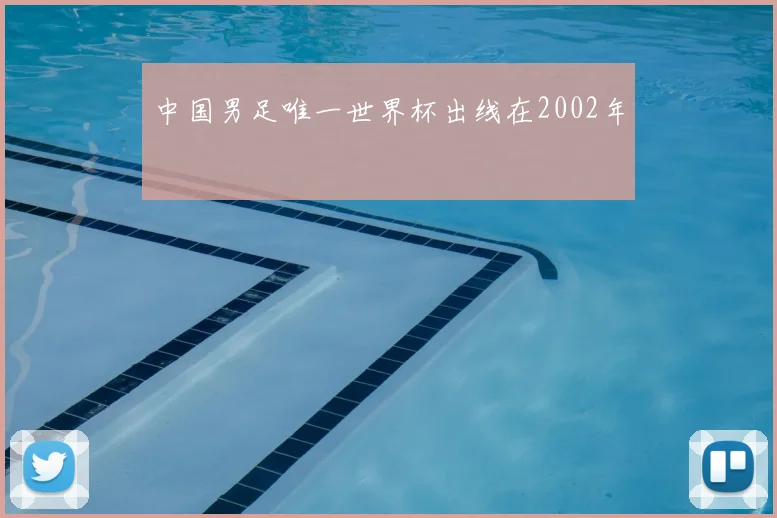 中国男足唯一世界杯出线在2002年