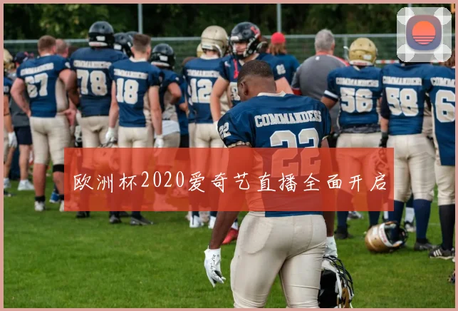 欧洲杯2020爱奇艺直播全面开启