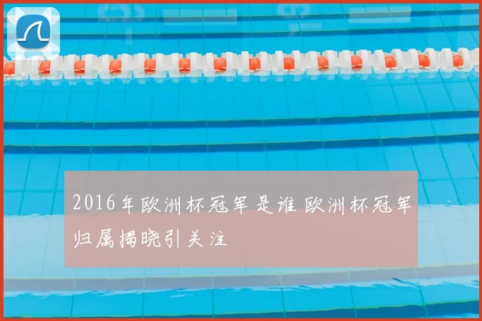 2016年欧洲杯冠军是谁 欧洲杯冠军归属揭晓引关注