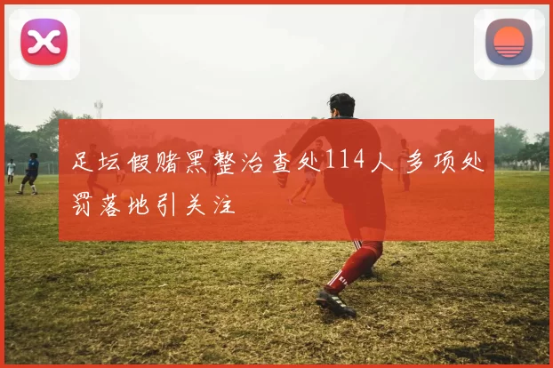 足坛假赌黑整治查处114人 多项处罚落地引关注