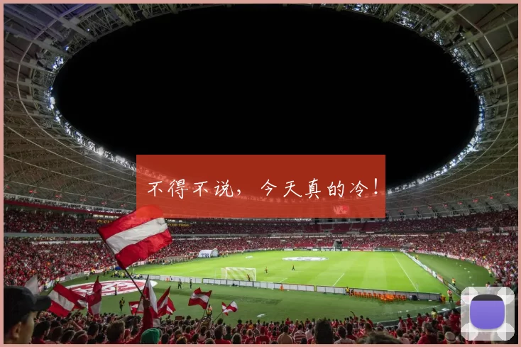 不得不说，今天真的冷！