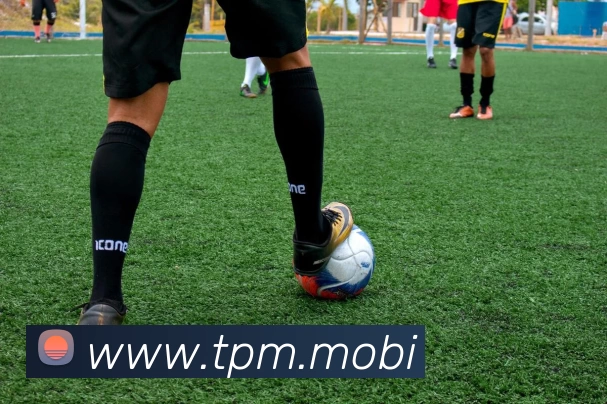 开云网页版·官方版在线 - 开云(中国)APP 高清赛事图